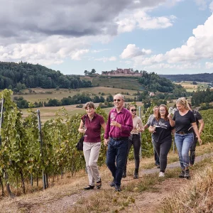 Kulinarische Weinwanderung