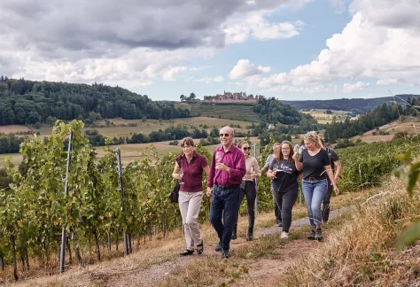 Kulinarische Weinwanderung